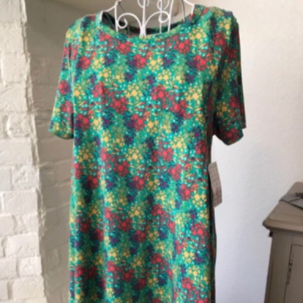 Lularoe S Carly dress NWT